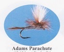 Adams Parachute