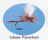 Adams Parachute