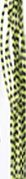 Black Barred Sili Legs