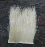 Bleached Elk