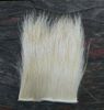 Bleached Elk