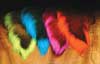 Bucktails