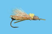Bullet head Golden Stone