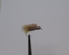 Butch Caddis