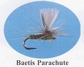 BWO Parachute