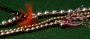 Cascade/Crest Beadchain
