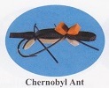 Chernobyl Ant