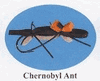 Chernobyl Ant
