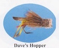 Dave's Hopper