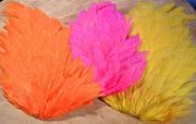 DOMESTIC HEN BACKS