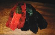 Dyed Golden Pheasant Skins