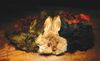 Dyed Hare's Mask
