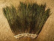 DYED PEACOCK HERL   6'' TO 8'' 
