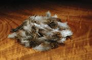 English Grouse Soft Hackles