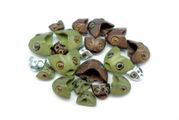 Fish Skull Sculpin Helmets