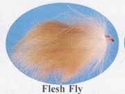 Flesh Fly