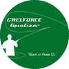 Gaelforce