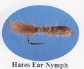 Gold Ribbed Hare's Ear