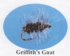 Griffith's Gnat