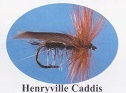 Henryville Caddis