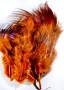  Ringneck Rump Hackle