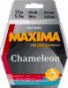 maxima  chameleon