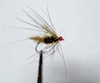 Olive Willie