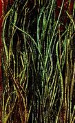 Peacock Herl-10" to 12"