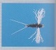 Poly Wing Trico Spinner