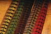 Ringneck Pheasant Tail Clumps