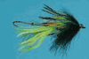 Scott Howel's Guide Intruder