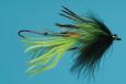 Scott Howel's Guide Intruder