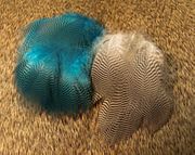  Teal Barred Flank Feathers