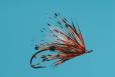 Tom Larimer's December Day