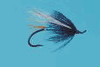 Tom Larimer's Low Water Fierce Allegiance