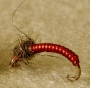   V Rib