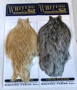 Whiting American Hen Capes