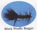Woolly Bugger