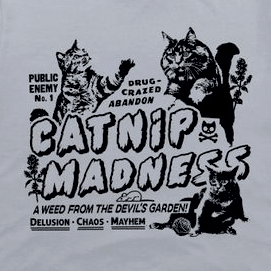 Catnip Madness