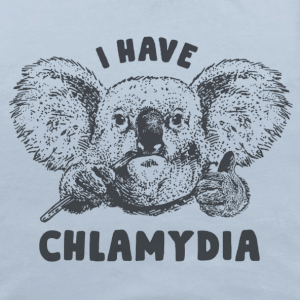 Koala Bear Chlamydia
