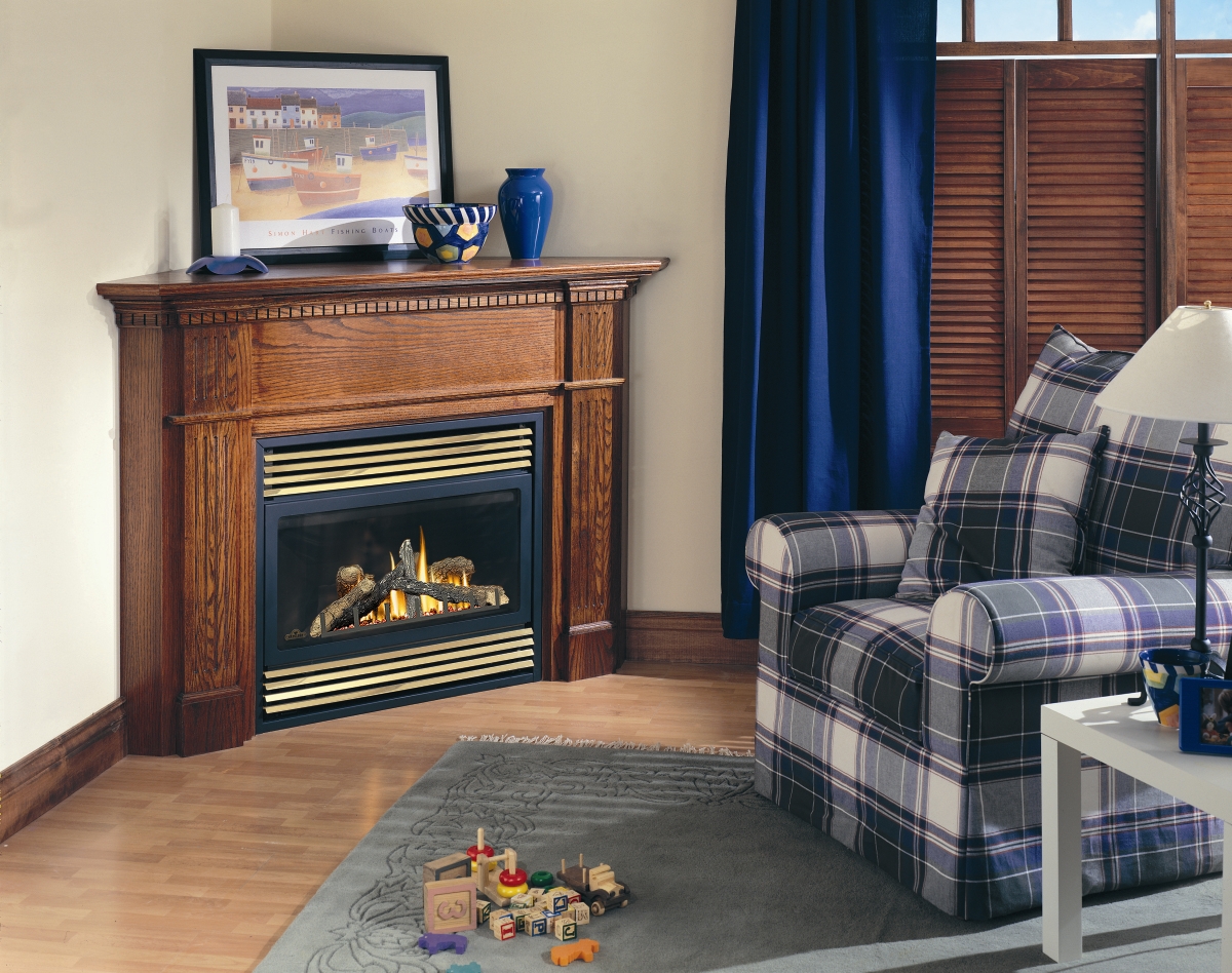 Napoleon Fireplace 1 Napoleon Wood & Gas Fireplaces Dealer