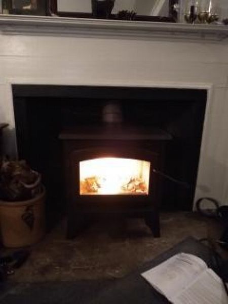 Napoleon Timberwolf Economizer 2200 Wood Burning Stove