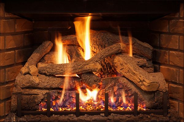 Real Fyre Burnt American Oak Log Set for DVI-30 Series Direct Vent Gas  Fireplace Inserts