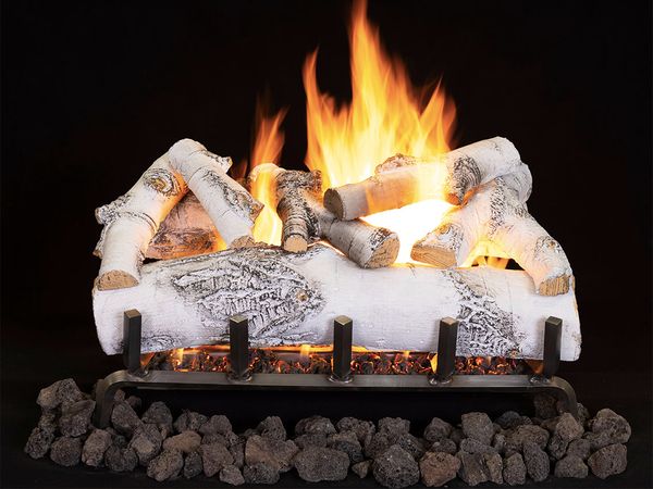 Superior 24 Inch Dual Vented Gas Burner with White Birch Logs - Remote  Control Ignition
