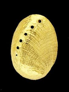 Abalone Shell Pendant