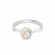 Auger Shell - January Birth Month Ring