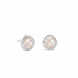 Auger Shell - January Birth Month Stud Earrings