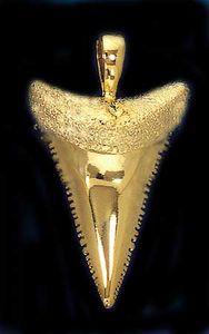 Great White Shark Tooth Pendant