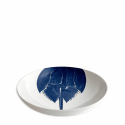 Horseshoe Crab Entree Bowl