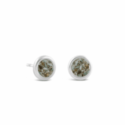 Limpet Shell - September Birth Month Stud Earrings